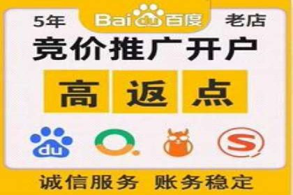 百度竞价公司成功案例揭秘：如何快速提升品牌曝光度